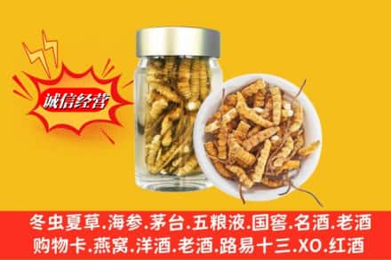 吉安永丰县求购回收散虫草